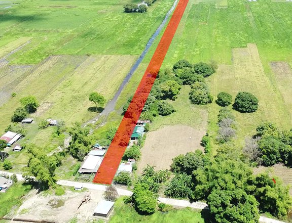 Agricultural Farm Land for sale in Palma, Basista, Pangasinan