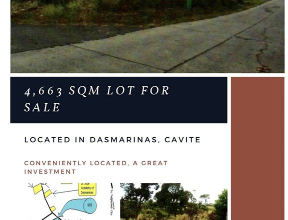 Rush! Multi use lot For Sale Dasmarinas, Cavite (Amuntay Road)