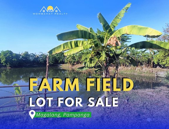 13, 247 SQM Residential Farm For Sale in Magalang Pampanga