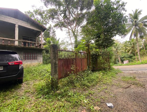 Rest house & Farm Lot in Tanay, Rizal