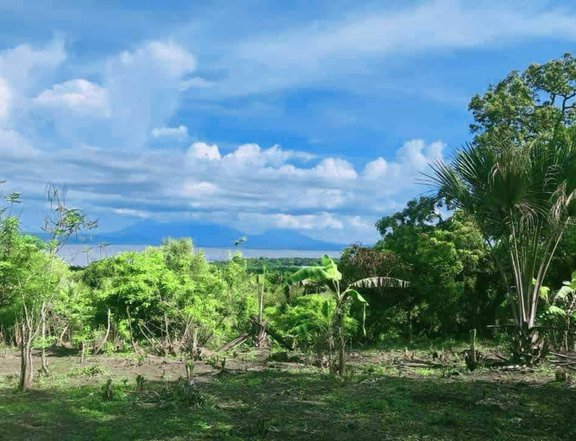 1.7 hectares Residential Farm Lot For Sale in Pakil Laguna with Overlooking View of Laguna Lake