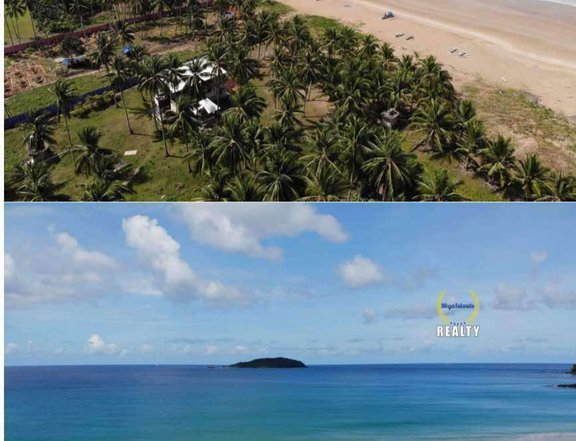 2 hectares Beach Property For Sale in El Nido Bacuit Palawan