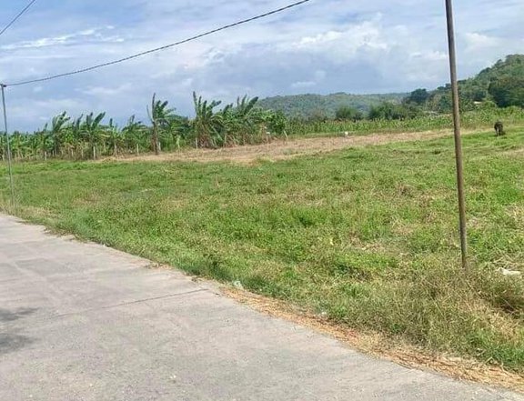 Luna, La Union Farm Lot - 200 per SQM