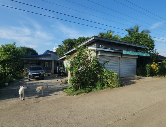 House with Big Lot for Sale in Samal Bataan