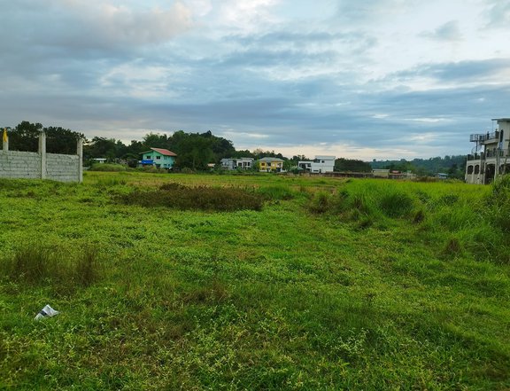 Titled Residential Lot for Sale in Bacnotan, La Union