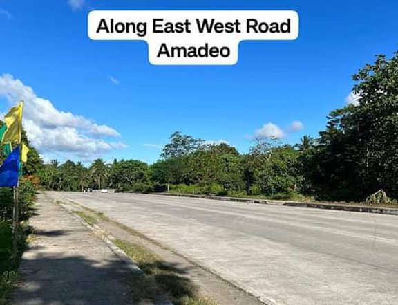 200sqm Affordable and Installment Lot for sale in Amadeo near Tagaytay