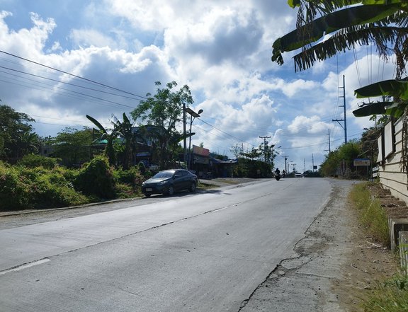 : Prime Commercial Lot Along Diversion Road, San Juan, La Union