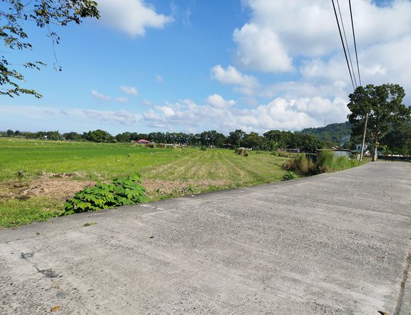 Residential Lot in Bacnotan, La Union