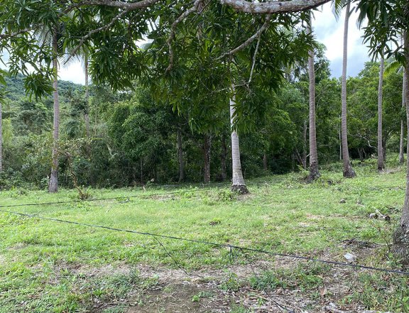 100 sqm Residential Farm For Sale in Batangas City