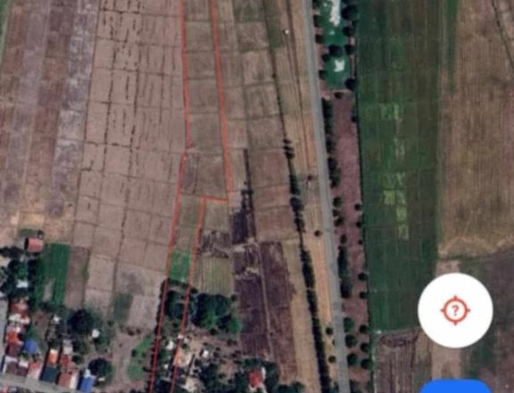 1.5 hectares Raw Land For Sale in Capas Tarlac (Ideal for Subdivision or Resort)