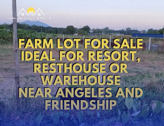 FARM LOT FOR SALE IDEAL FOR RESORT, RESTHOUSE OR WAREHOUSE