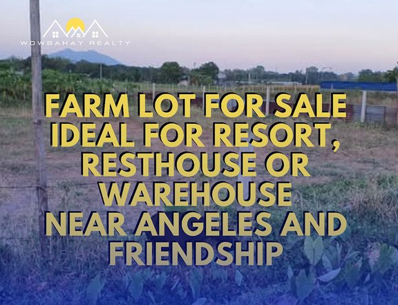 FARM LOT FOR SALE IDEAL FOR RESORT, RESTHOUSE OR WAREHOUSE