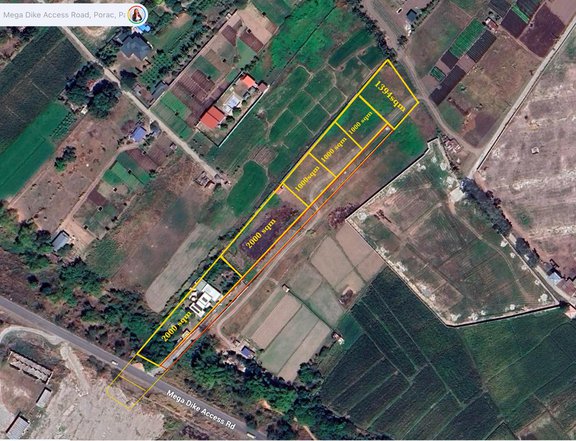 FOR SALE FARM LOTS IDEAL FOR PRIVATE RESORTS IN PAMPANGA NEAR SCTEX AND ALVIERA