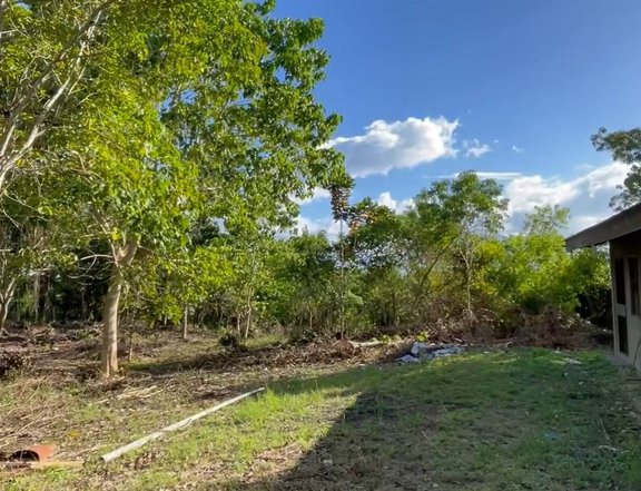 3,687 sqm Raw Land For Sale in Tagbilaran Bohol