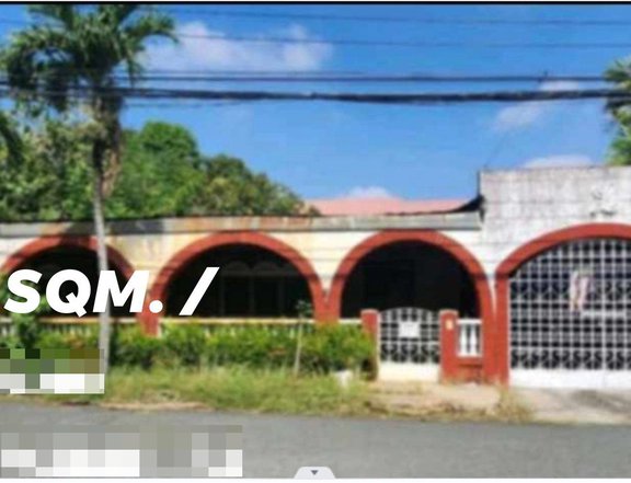 450 sqm Residential Lot For Sale in PhilAm Life Village Las Pinas