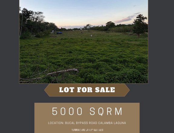 5,000 sqm Farm Lot For Sale in Calamba Laguna