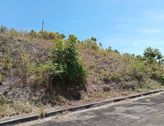 Prime Residential Lot for sale in Crown Heights Subdivision Compostela, Cebu