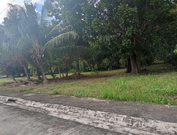 Avida Hacienda Sta. Monica farm lot for sale