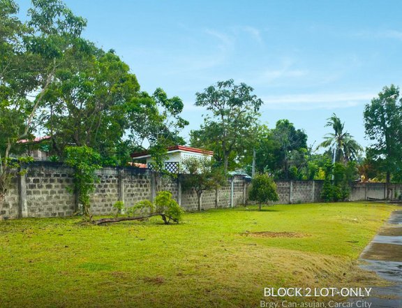88 sqm Residential Lot For Sale in Carcar Cebu