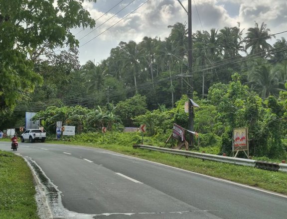 3,500sqm Commercial Lot Along Tayabas Mauban Road Brgy Palale Kanluran Tayabas