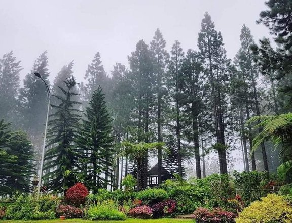 Dahilayan Residential Farm in Mountain Pines Farm, Manolo Fortich, Bukidnon