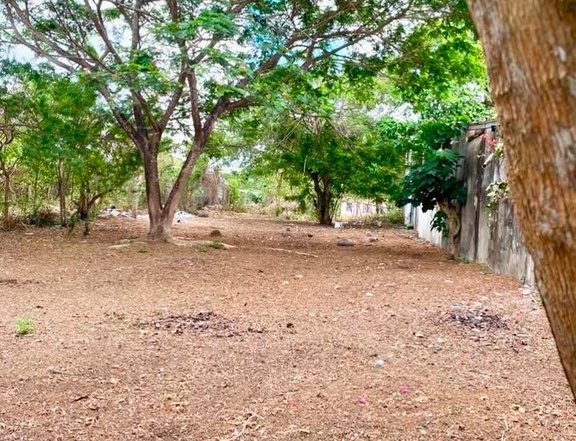 528 sqm Residential Lot For Sale in Dasmarinas Cavite