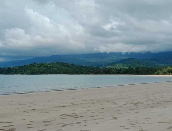 9,000 sqm Beach Property For Rent in Puerto Princesa Palawan