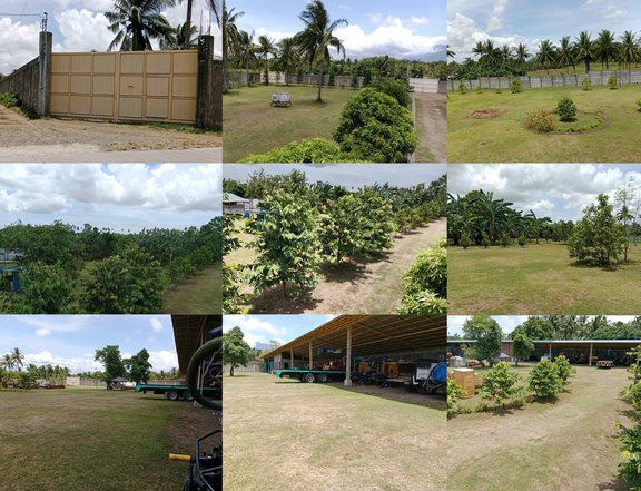 1 hectare, agro industrial farm for sale in Sariaya, Quezon