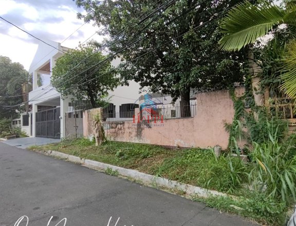 240 sqm Residential Lot For Sale Better Living Paranaque City