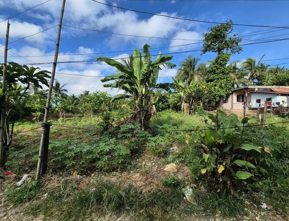 5,500sqm Commercial Lot Along Tayabas Mauban Road Brgy Palale Kanluran Tayabas