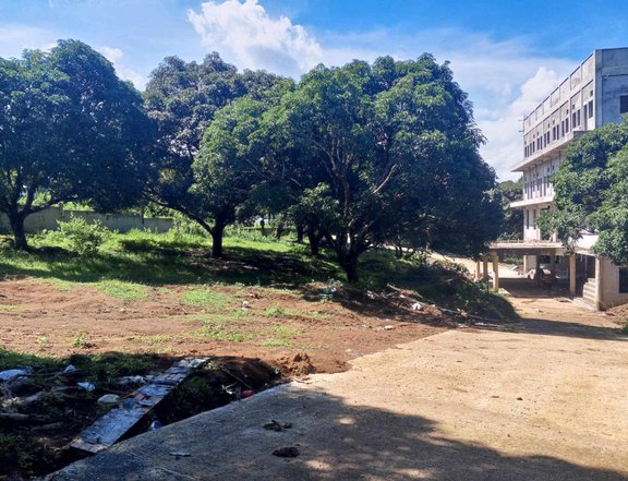 1,000 sqm Raw Land For Sale in Tanay Rizal Clean Title & Ready To use