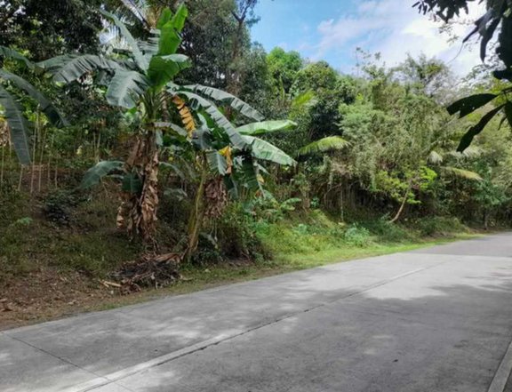 Agricultural land with fruit bearing trees