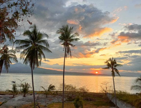 Santander Beach Lot 7250sqm 71m Sea Front Fenced 27m Hiway Cebu