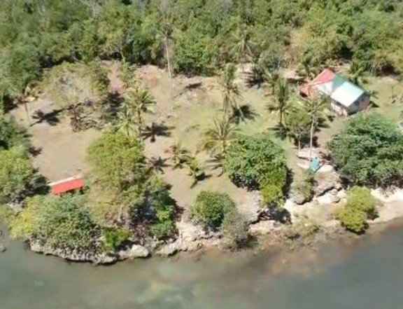 Beach Lot with 3248 SQM size, 3 sides no neighbor, just the mangroves and the sands.