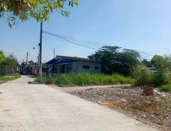 Lot for Sale in San Miguel Tarlac near Robinson's Luisita