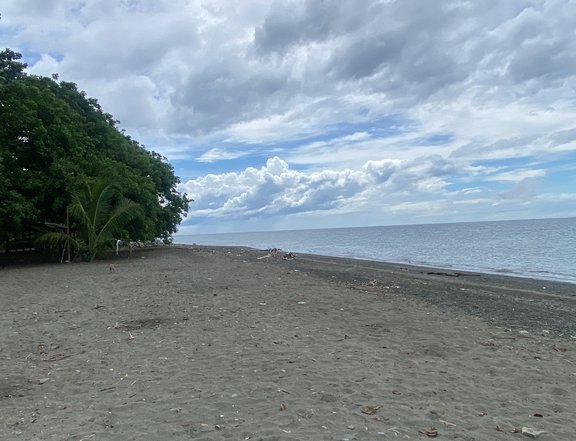 20 hectares Commercial-Beach Property For Sale in Pantukan Davao De Oro Compostela Valley