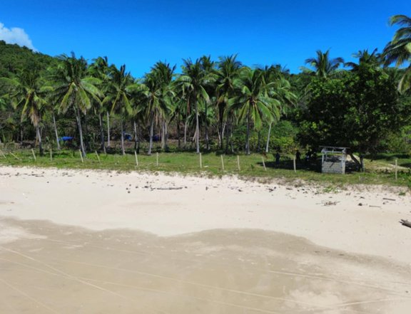 1 hectare Beach Property For Sale in Nacpan beach El Nido, Palawan