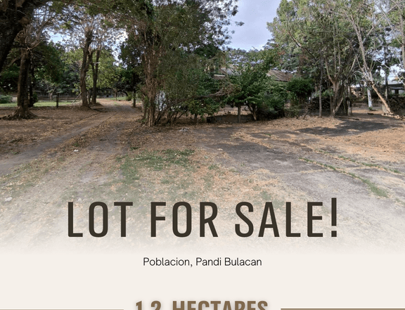 1.2 hectares Residential Lot For Sale in Pandi Bulacan