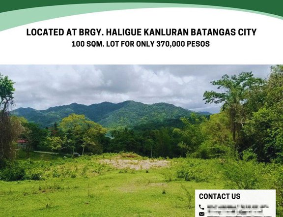 LOT FOR SALE: 100 Sqm Residential Farm For Sale in Haligue Batangas City, Batangas