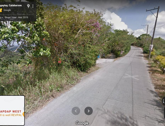 3,000 sqm Lot for Sale in Tagaytay City