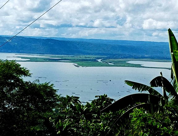 11,395 sqm Farm Lot with Laguna Lake View for Sale in Kabulusan, Pakil, Laguna