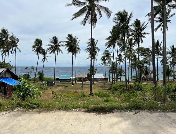 FOR SALE RAWLAND IN MINDORO WITH POSSIBLE EXPANSION TO SHORELINE ADJACENT TO KASAY BEACH