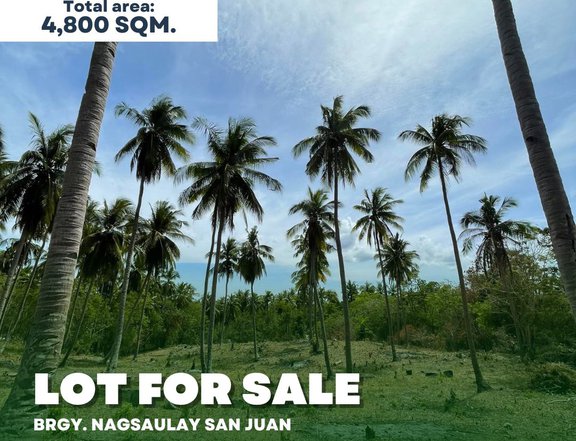 4,800 sqm Land For Sale in San Juan Batangas