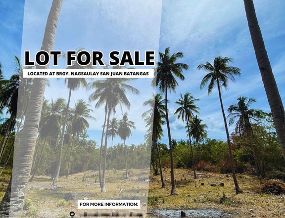 4,800 sqm Residential Farm For Sale in San Juan Batangas