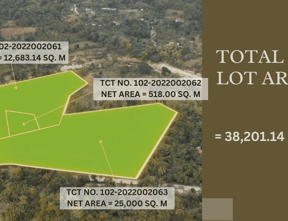3.82 hectares Lot For Sale in Argao Cebu