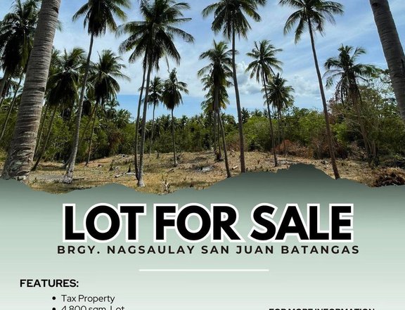 4,800 sqm Raw Land For Sale in San Juan Batangas