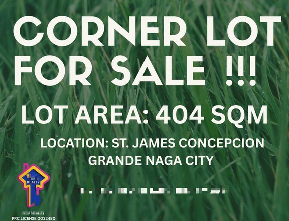 404 sqm Residential Lot For Sale in St. James Concepcion Grande, Naga City Camarines Sur