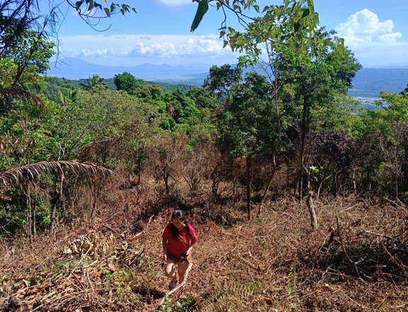 I'm selling residential farm lot,flat/overlooking 500sqm 750T 10%dp 5yrs in Sta. Maria,Laguna