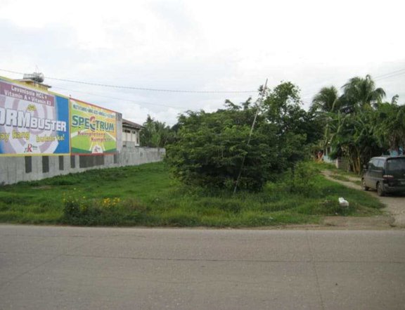 Prime Commercial Lot 1500sqm along Provincial road Tayud Liloan Cebu