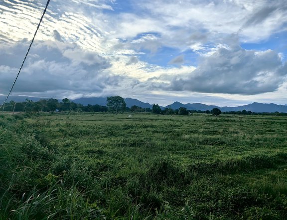 1 hectare Farm Lot For Sale in Aborlan Palawan